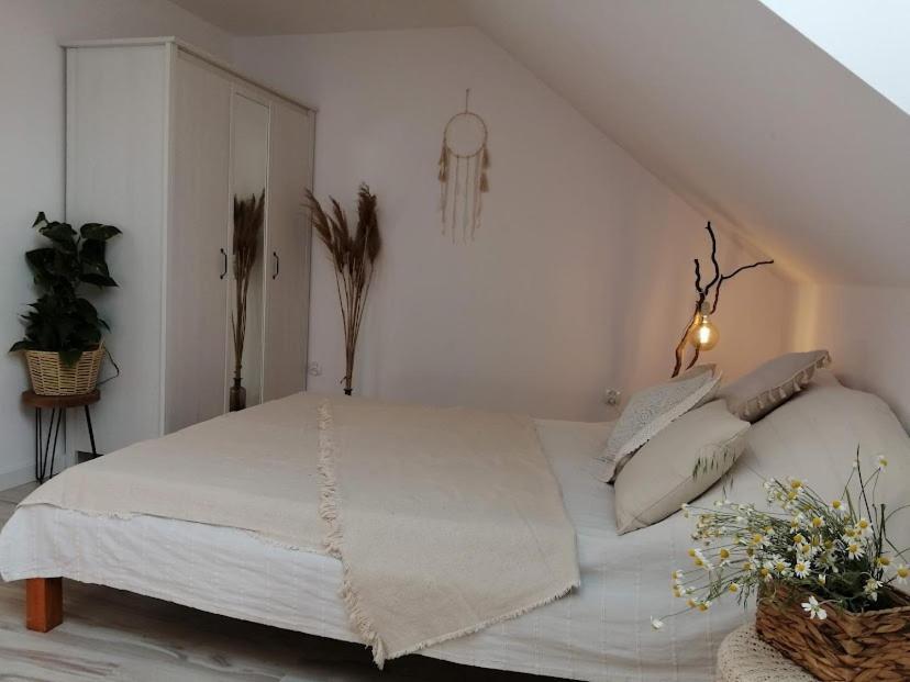 Polne Zacisze Country house *